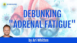 Ari Whitten | The Energy Blueprint: Does Adrenal Fatigue Even Exist? -  Wellness Force Media