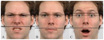 Within-person variability in men's facial width-to-height ratio [PeerJ]