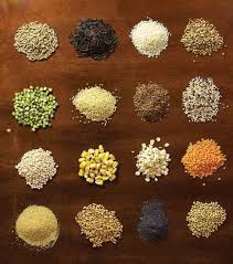 Bread With Sprouted Grains And Multigrains Mother Earth News Sprouted Grains Grain Foods Whole Grain Foods