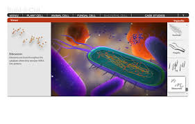 Check spelling or type a new query. Spongelab Build A Cell
