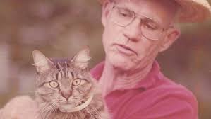 Steve Farst Band at Casa y Bel