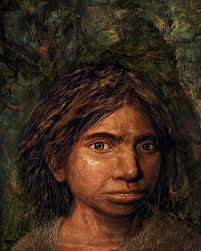 The denisovans or denisova hominins are an extinct species or subspecies of archaic human that ranged across asia during the lower and middl. First Portrait Of Mysterious Denisovans Drawn From Dna