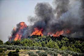Ο απολογισμοσ διχνει το εσχατο σημειο που εχουμε φθασει. Hleia Pyrkagies Se E3eli3h Se Wlenh Kai Panopoylo Eley8eria Online