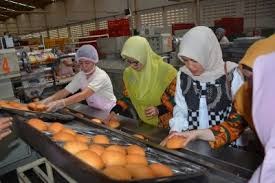 Saat memikirkan pabrik, keindahan biasanya bukan hal pertama yang harus diingat. Persit Kck Koorcab 141 Tp Wisata Industri Di Gowa Matarakyatmu