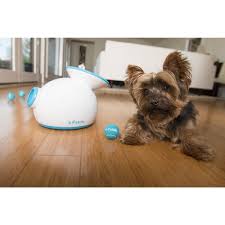 The world's most popular automatic ball launcher now designed for bigger dogs. Ifetch Ball Launcher If Ifetch Kl Ifetch Ballschleuder Fur Hunde