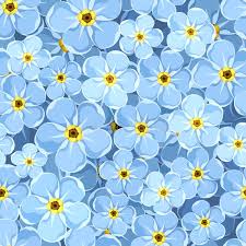 Drawing flowers vector forget me not. Seamless Background With Blue Forget Me Not Flowers Vector Illustration Stock Vector Flowers Photography Wallpaper Flower Wallpaper Retro Background