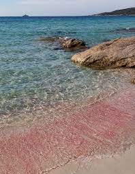 La spiaggia rosa fait partie du parc national géomarin de la maddalena. La Photo Du Jour Le Sable Rose Du Grand Capo