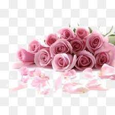 الحب Flower Graphic Design Flower Png Images Free Watercolor Flowers