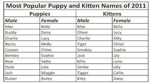 Or view cute cat names for girls instead. Most Popular Puppy And Kitten Names Of 2011