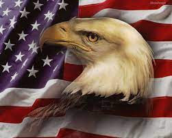 American Eagle American Flag Drawing American Flag Pictures American Flag Wallpaper