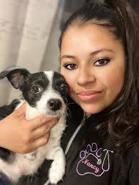 Veterinarian in Monterey