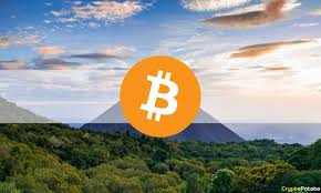 Well first off there is will be a supply that is 10 so it does show some promise but only time will tell with this one. Michael Saylor Promotes Economic Empowerment With Free Bitcoin For Everybody Course Coingenius Hosts Virtual Crypto Event