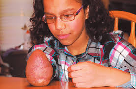 St. Isidore School to shut down