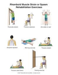 Pin On Back Strain Exercises