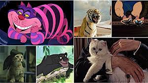 Black cat names inspired from movies and tv. Meow Mix The 100 Most Iconic Cats In Movies Paste