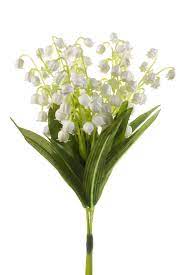 Bulbes potagers, muguet en brin, muguet en griffe, muguet en pot, plants d'asperges, plants de pomme de terre, plants potagers bio, semences. Bouquet De 3 Brins De Muguet Artificiel 24 Cm Fleurs Printanieres Artificielles Reflets Nature