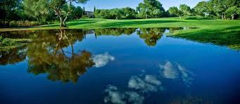 You are less likely to take a dip in your pond if you're attacked by leeches every time you enter. Leeches In Your Pond What To Do About It