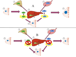 This is called premature menopause. Aromatase Inhibitor Wikipedia