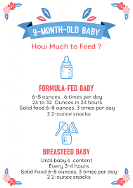 Puppies need frequent smaller meals to avoid overloading their small stomachs. 9 Month Old Baby Kingdom Of Baby