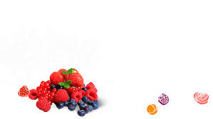 Manodelys Les Fruits Gourmands Au Chateau Du Boistissandeau