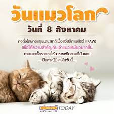 วันที่ 8 สิงหาคมของทุกปี ได้รับการประกาศให้เป็น วันแมวโลก โดยกองทุนสวัสดิภาพสัตว์ระหว่างประเทศ (ifaw) มาตั้งแต่ปี 2002 ในขณะที่ในบางประเทศอาจจะ. 8 à¸ª à¸‡à¸«à¸²à¸„à¸¡ à¸§ à¸™à¹à¸¡à¸§à¹‚à¸¥à¸ à¸—à¸²à¸ªà¹à¸¡à¸§à¸—à¸£à¸²à¸šà¹à¸¥ à¸§à¹€à¸›à¸¥ à¸¢à¸™