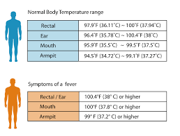 37 Veritable What Is The Normal Body Temperature