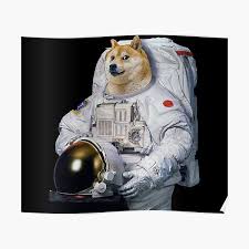 Dogecoin — the crypto token that was started as a joke and that is the favourite of elon musk — is having a bit of a moment. Dogecoin To The Moon Posters Redbubble