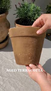 Image result for Terra Cotta 1980 Motor Home