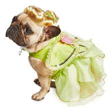 Un piccolo cucciolo di cane dolcissimo ma soprattutto. Costume Per Cani Trilli Disney Store Shopdisney Italia