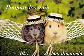 Bon dimanche | abenchaalors.fr