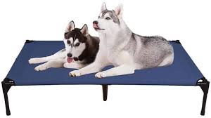 These beds have a raised sleeping surface to promote air circulation, which. 12 Best Outdoor Dog Beds Outdoor Dog World