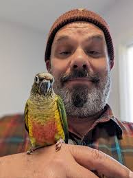 Bringing Home a Tropical Chicken as a Pet