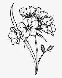 We did not find results for: Gambar Png Images Free Transparent Gambar Download Kindpng