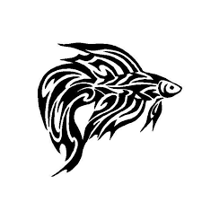 Secara taksonomis, ikan tersebut termasuk dalam. 15 5 14 5cm Suku Ikan Cupang Mobil Stiker Kreatif Klasik Mobil Hewan Styling Dekoratif Decals Hitam Perak C6 1257 Sticker For Sticker Girlstickers Mat Aliexpress