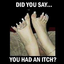 Pin On Funny Pics Tvt