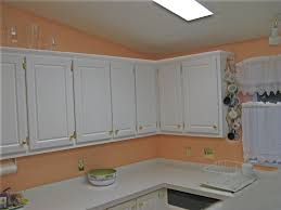 Use a pop of peach to liven up neutral spaces, or combine it with similar hues in varying shades like tomato red and silvery pink for a warm, fresh look. The Color Is Peach Kitchen Villasillo2008 S Weblog