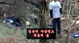 복갤러들 딸감 최고 시나리오.txt 제이크 폴이 우들리 ko 시키고웨더가 로건 폴 ko 시키는 상황전성기에 타격으로 ufc 웰터급 극강 챔프였던 우들리 복싱 좀 하는 유튜버한테 졌다고 므마충들 평생 조리돌림 가능웨더 로건폴은 사실 무조건 이겨야 본전이기도 하고 ㅇㅇ 작성자 : ë¡œê±´ í´ ì‹œì²´