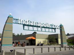 Indianapolis Zoo Indianapolis Indiana Indianapolis Zoo Travel Spot Indianapolis Indiana
