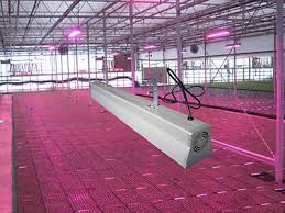 Maybe you would like to learn more about one of these? Led Grow Lights Home Facebook