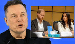 Prince Harry and Meghan Markle take aim at 'trillionaire' Elon Musk in  blistering new statement
