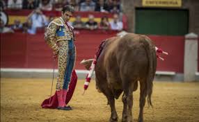 Expectación ilusionante por el anuncio de que José Tomás toreará en Jaén |  Ideal