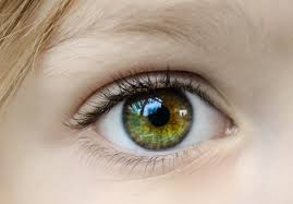 Kidney cancer is one of the 10 most common cancers in the united states. 36 Hazel Eyes Facts And Theories You Might Not Know By Kidadl