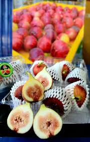 Pokok tin johor, batu pahat. Tiga Sahabat Buktikan Projek Tanaman Buah Tin Menguntungkan Utusan Digital