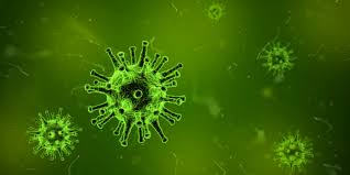 Azərbaycanda koronavirusla bağlı xəbərlər koronavirus onlayn statistika bütün xəbərlər. Kulturinfos In Zeiten Des Coronavirus Lvr