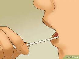What do you need for a dna test. How To Get A Dna Test 10 Steps With Pictures Wikihow