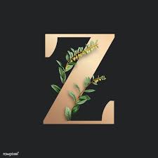 Check spelling or type a new query. Botanical Capital Letter Z Illustration Premium Image By Rawpixel Com Aum Lettering Alphabet Fonts Letter Z Alphabet Wallpaper