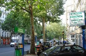 She trained in hamburg (diplom‑ingenieurin) and brussels (architecte). John Simon Guggenheim Foundation Carola Hein
