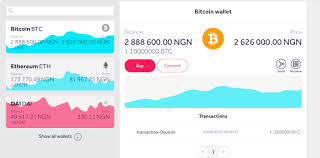 Cryptocurrency experts tend to use several platforms in order to make money. How To Buy Bitcoin In Nigeria With Ease Using A Credit Card