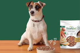 Complete details of the carnivora dog and cat food recall of june 2020 as reported by the editors of the dog food advisor. Freshpet Mitigates Capacity Constraints To Drive 29 Quarterly Growth 2020 11 04 Pet Food Processing