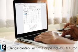 BilanÈ›ul Contabil Al Firmelor Pe InÈ›elesul Tuturor